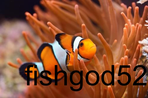 Fish God 52